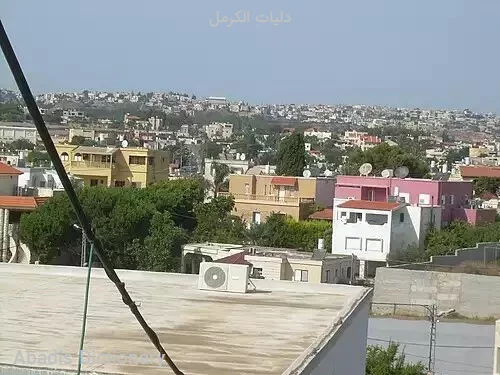 دلیات الکرمل